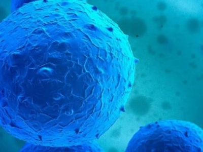 再傳喜訊！達博生物“人臍帶間充質(zhì)干細胞注射液”獲臨床試驗默示許可